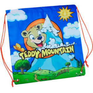 Colour Teddy Mountain Backpack Bag (16") pack of 6